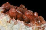 Natural, Red Quartz Crystal Cluster - Morocco #153771-2